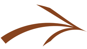 arrow flipped